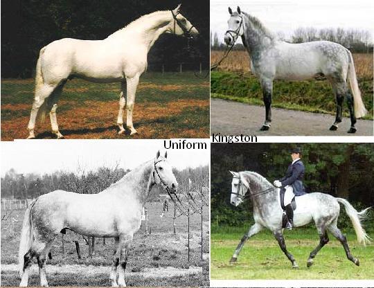 Vader en moeders vader